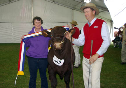 Grand Champion Red Poll Bull - Oakwood Zorba Top Gain - R M Wilson and Son, SA
Sashed by Dianne Corbett handled by Peter Wilson.