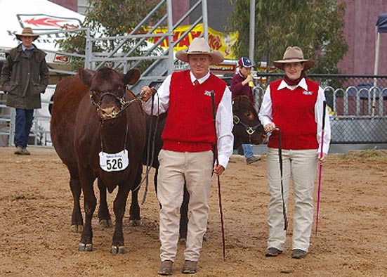 Mike and Sarah Smith with Eurimbla Sheba
Grand Champion Red Poll Female 
National Beef Bendigo 2008