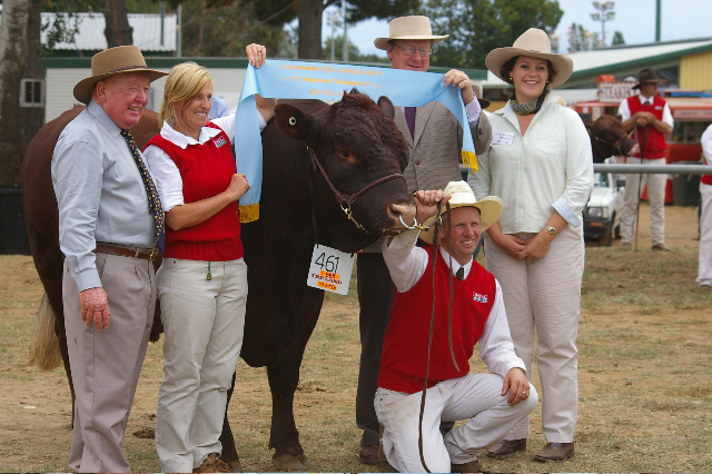 Balla Balla 'Let it Go' - Grand Champion Red Poll Bull and Supreme Champion Red Poll at Royal Canberra Show 2008
Mel Ryan (Judge), Judy Coles (Owner), Patrick Keast (Temora), Sean Kallidy (Handler), & Associate Judge.